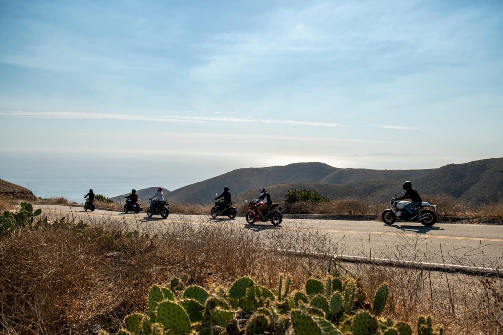 A group ride sweeping past cactus and desert hills toward the coast