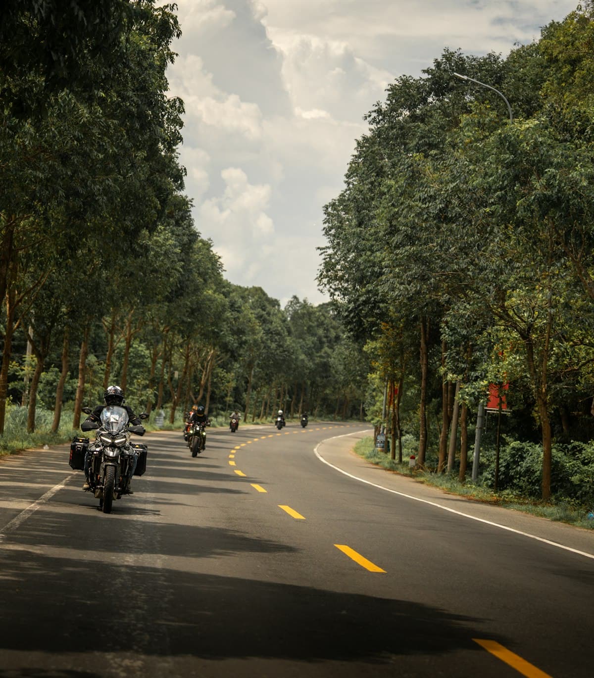 Riders strung out along a tree-lined highway