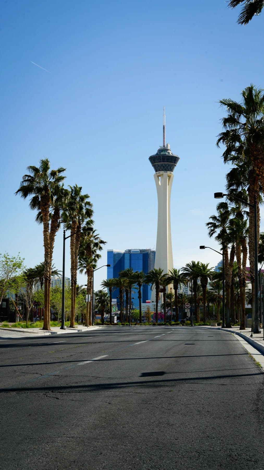The Stratosphere tower framed by palms down an empty street